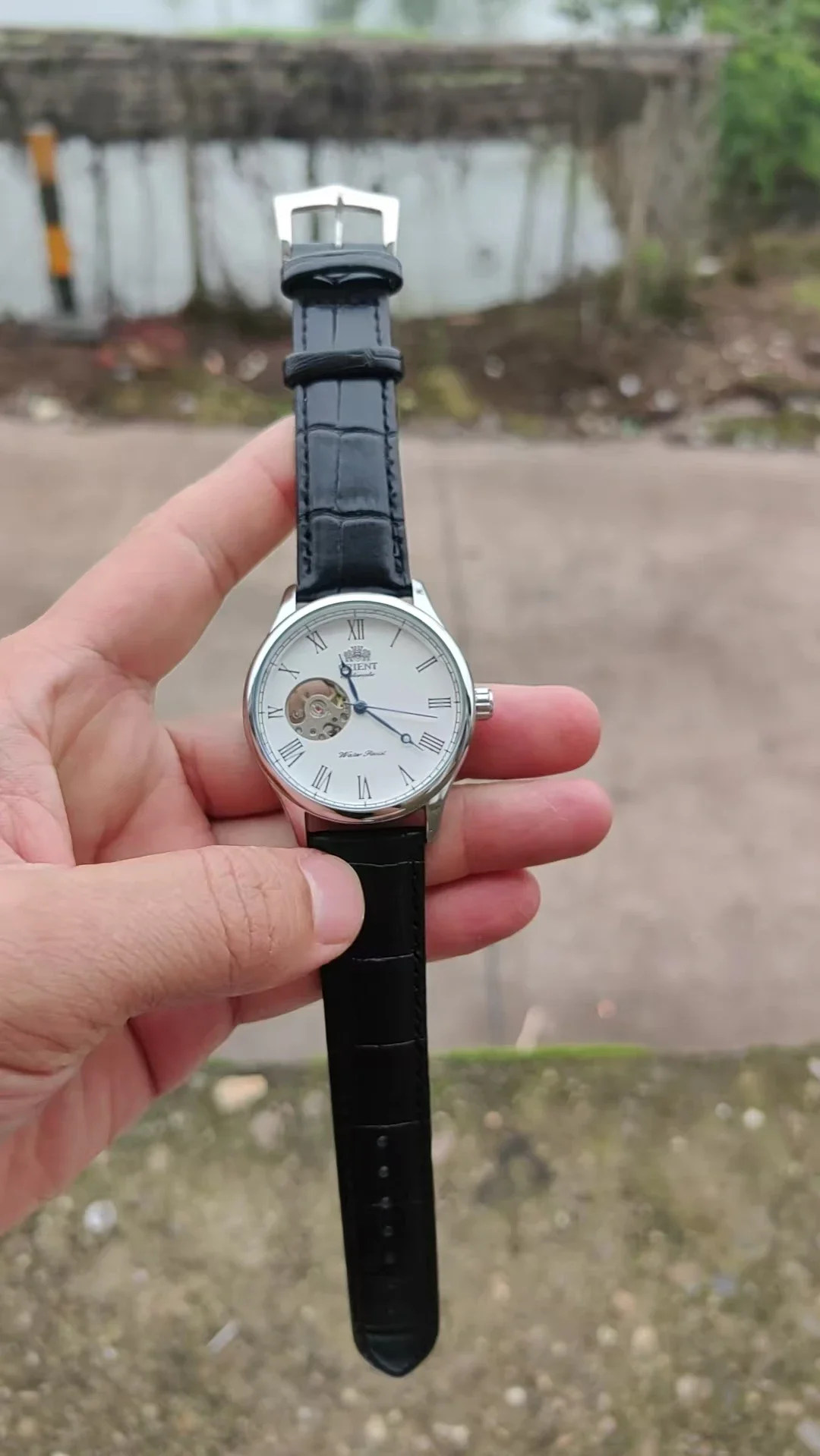 Jam Tangan Mekanik DFDG dengan - Seiko Watch Presage ulasan dan harga